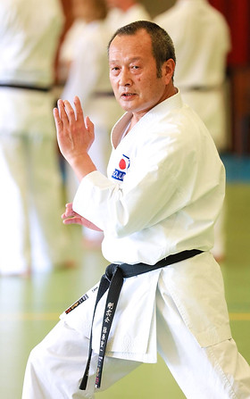 SEIICHI FUJIWARA HANSHI